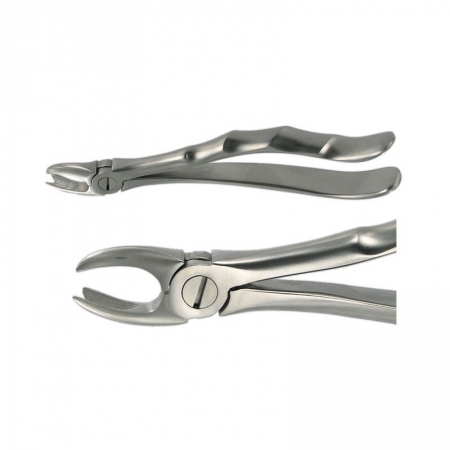 ENGLISH FORCEPS 89 UPPER MOLAR R